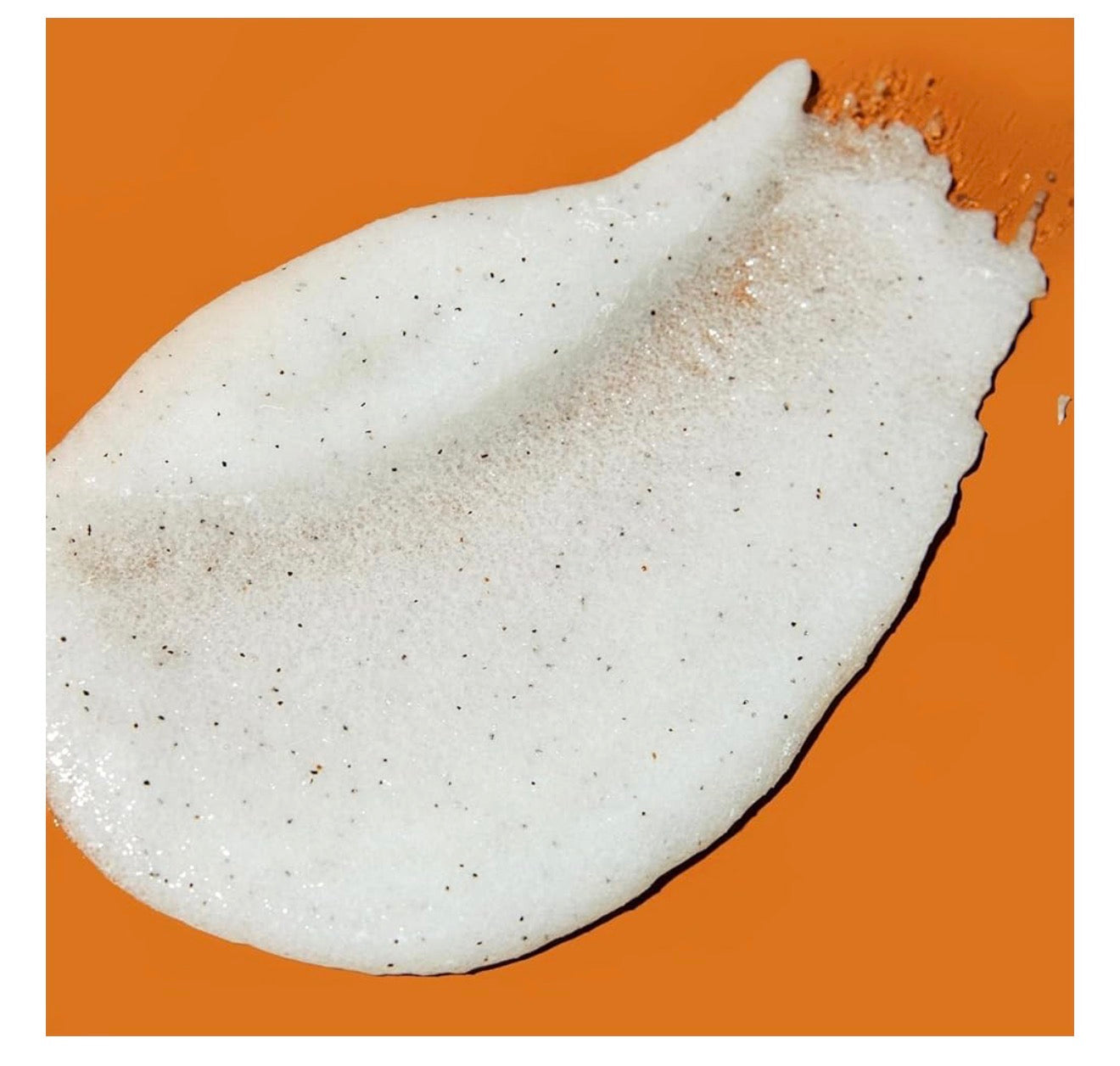 Women’s Exfoliating Shea Body Scrub